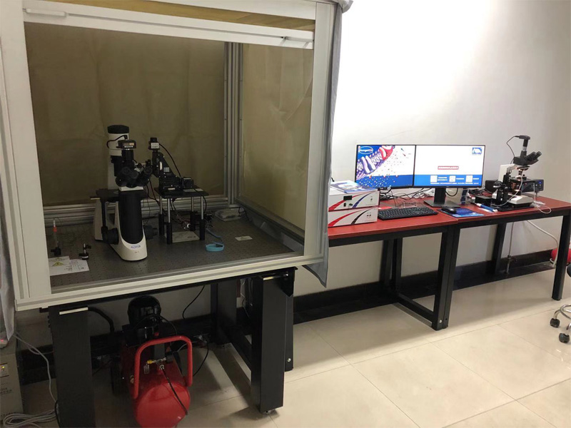 北京大學(xué)Peking University