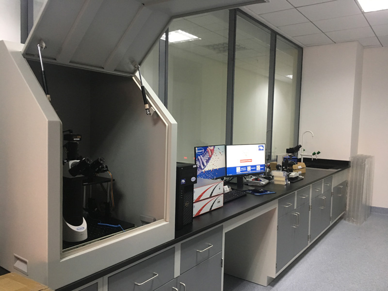 上海交通大學(xué) Shanghai Jiao Tong University