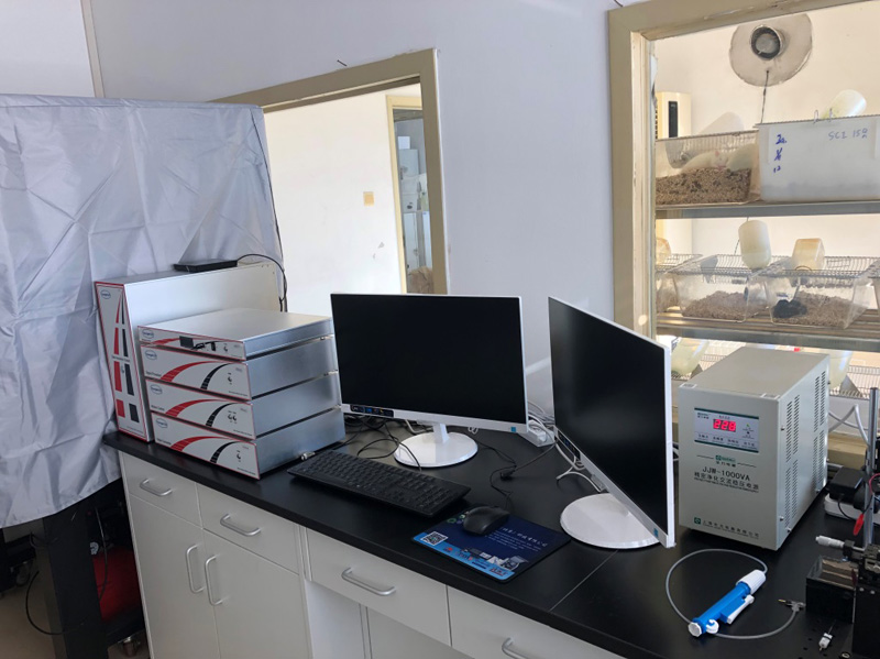 中國康復(fù)研究中心China Rehabilitation Research center