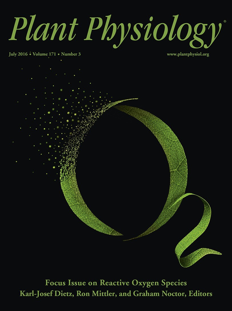 Plant Physiol ：山東大學(xué)、山東省農(nóng)科院丨線粒體丙酮酸載體調(diào)控植物耐鎘的機(jī)理（附NMT實驗體系）