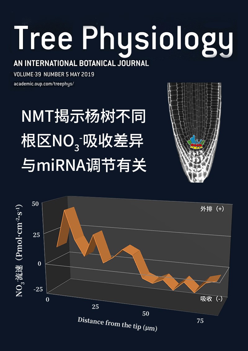 NMT揭示楊樹不同根區(qū)NO3-吸收差異與miRNA調(diào)節(jié)有關(guān)