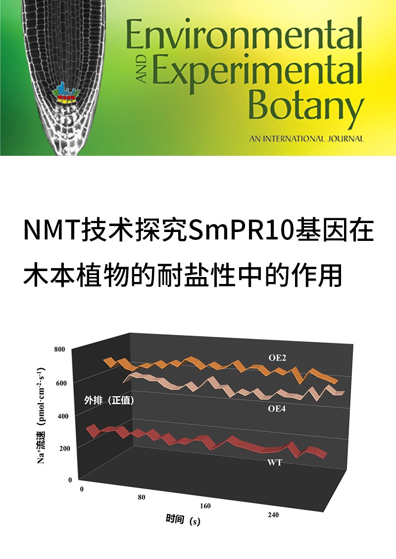 NMT技術(shù)探究SmPR10基因在木本植物的耐鹽性中的作用