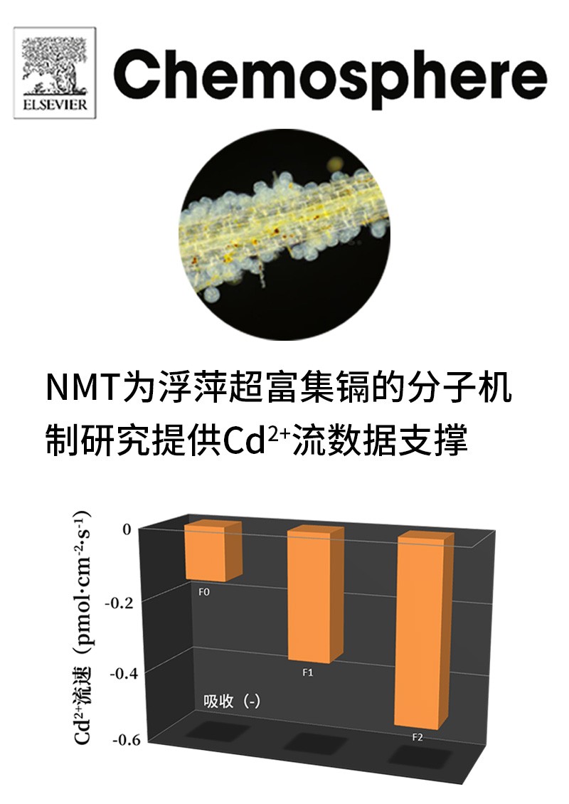 NMT為浮萍超富集鎘的分子機制研究提供Cd2+流數(shù)據(jù)支撐
