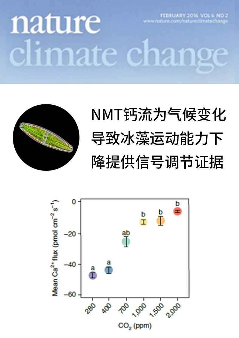 NMT鈣流為氣候變化導致冰藻運動能力下降提供信號調(diào)節(jié)證據(jù)
