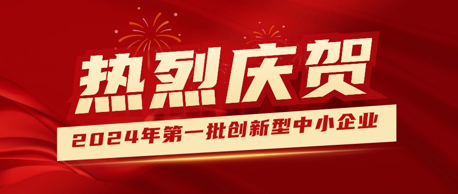 喜報(bào)！集團(tuán)獲認(rèn)定為2024年第一批創(chuàng)新型中小企業(yè) 