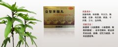 益智康腦丸治療什么病，益智康腦丸主治什么病