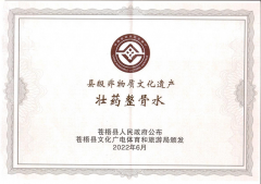 喜報(bào)！壯藥正骨水制作技藝榮獲縣級(jí)非物質(zhì)文化遺產(chǎn)項(xiàng)目